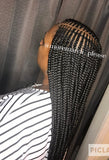 Layer Feed Ins (Fulani)
