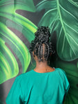Braided Up Style